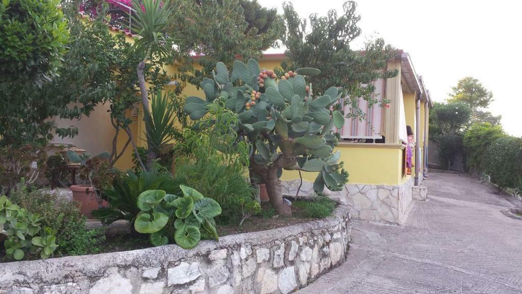 Villa Natura Sea View Vieste Dış mekan fotoğraf